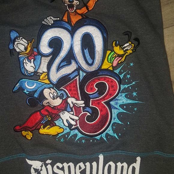2013 sweater ORIGINAL disney parks  with hoody - Picture 3 of 5
